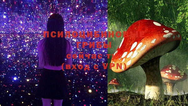 не бодяженный Магас