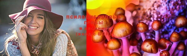 эйфоретик Майский