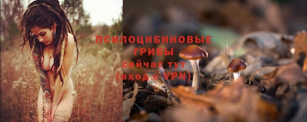 эйфоретик Майский
