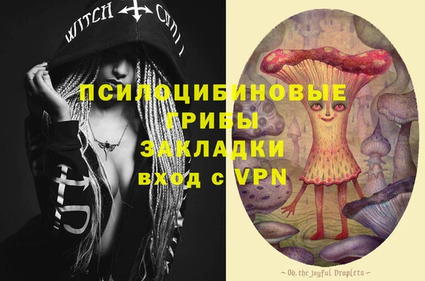 шишки Магадан