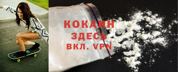 шишки Магадан